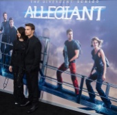 NEW YORK, NY - MARCH 14: Actors Shailene Woodley (L) and Theo James attend the "Allegiant" New York premiere at AMC Lincoln Square Theater on March 14, 2016 in New York City. (Photo by Michael Stewart/Getty Images)